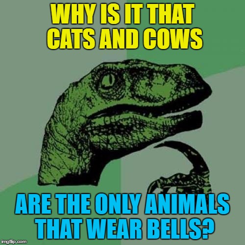 ad/21e8e0644fe4.jpg
