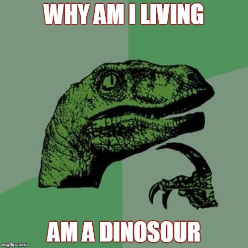 ad/b0d8d1d79fcd.jpg