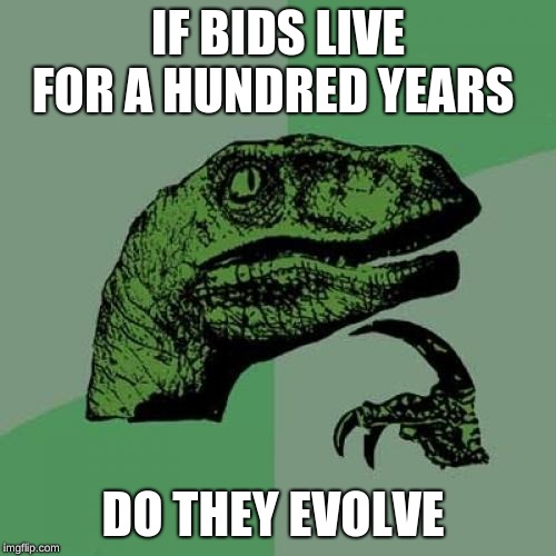 af/7af63bb9724b.jpg