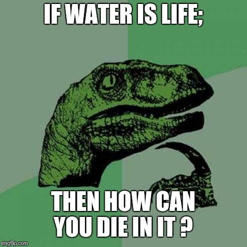 b0/36f42ab3ef6e.jpg