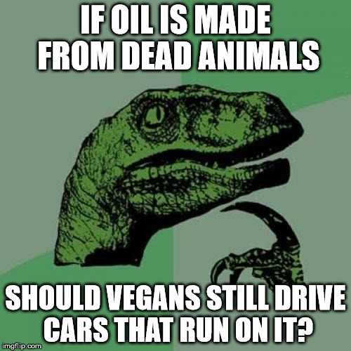 b0/b03f7524f1cd.jpg