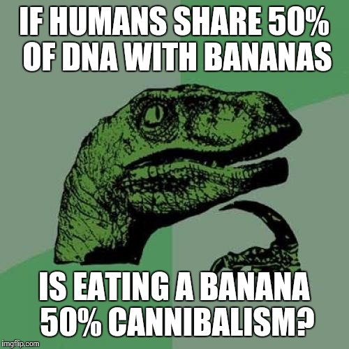 b0/e878b383d46c.jpg