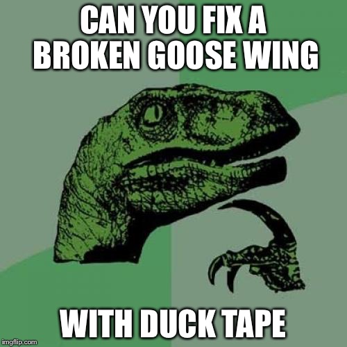 b1/4c59d7cbc840.jpg