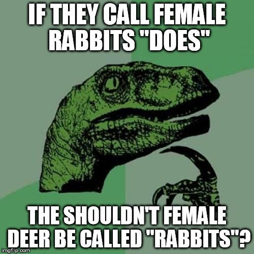 b2/e3a8c4283c08.jpg