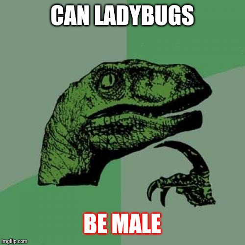 b7/2955f2b03efb.jpg