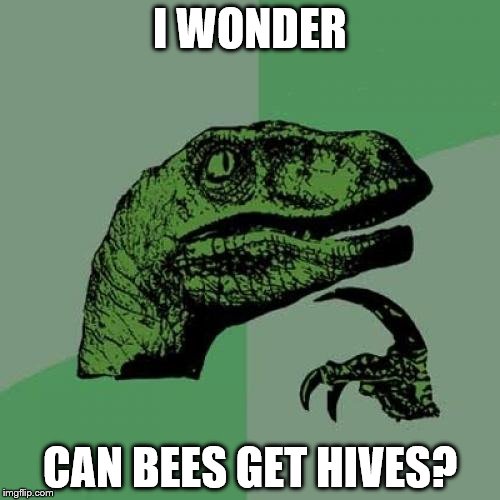 b8/2f32e2b0134f.jpg
