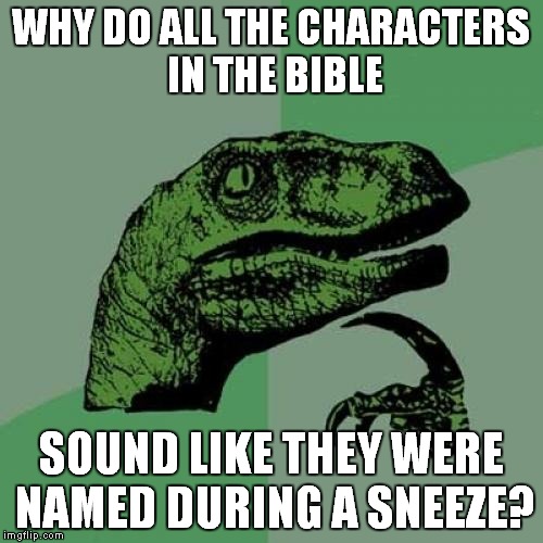 b8/3ce0f7b29b33.jpg
