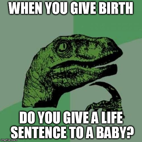 b9/97cc7e9d9b53.jpg