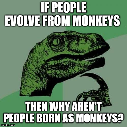 b9/d12c186b1c1d.jpg