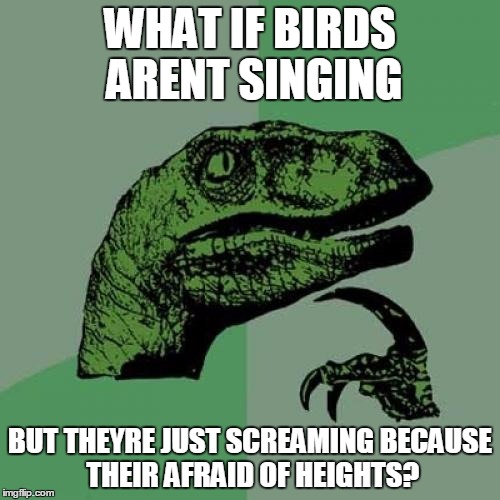 bd/1d2c7758d33c.jpg