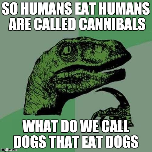 bd/f3cc4d532f3b.jpg