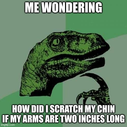 bf/74b0eb2b78e5.jpg
