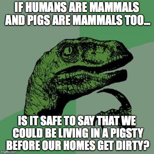 c1/329614b3e78b.jpg