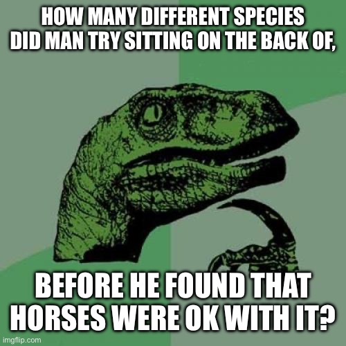 c2/730c0c351e24.jpg