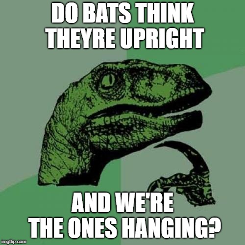 c2/b75c52b42439.jpg