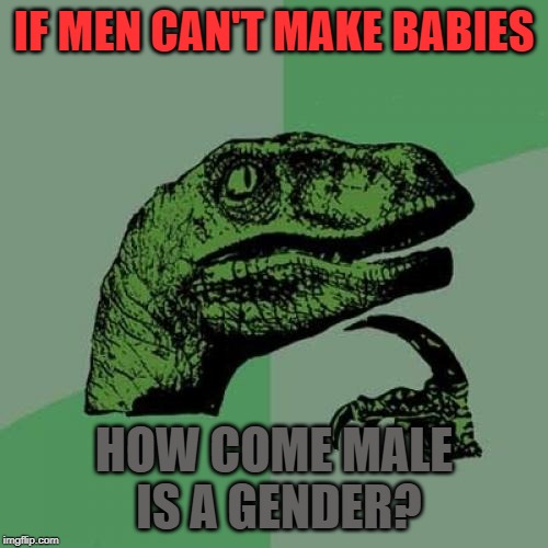 c3/04b63342f76f.jpg