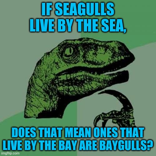 c3/1e066f3f765c.jpg