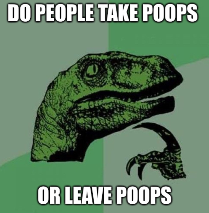 c3/376c94862f3e.jpg