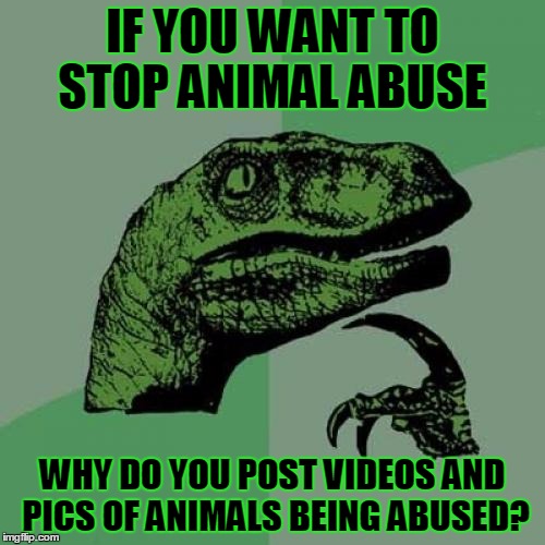 c3/3e2370b64c12.jpg