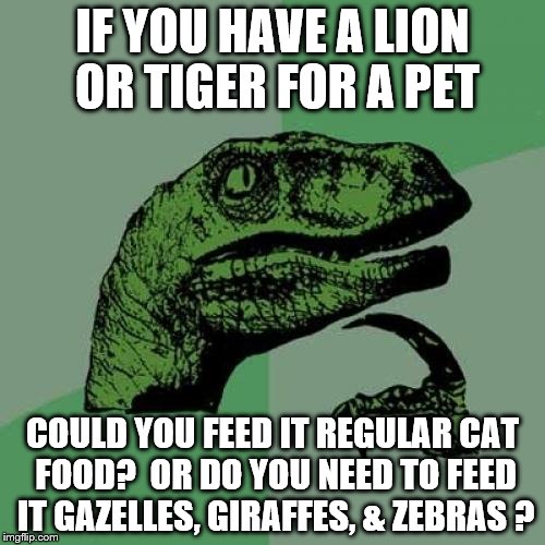 c4/05c4be77f363.jpg