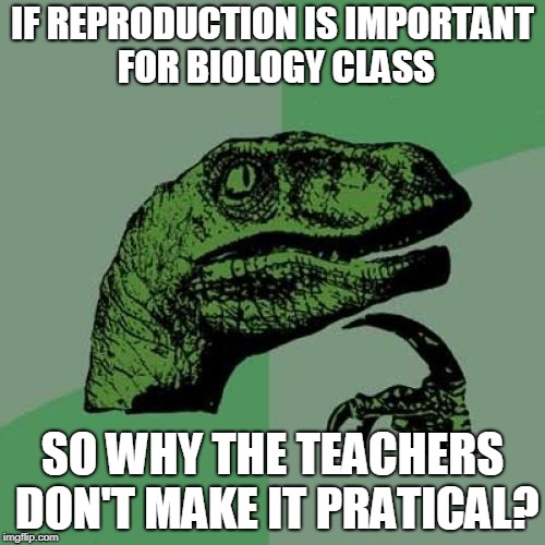 c4/feb2eeec8dea.jpg