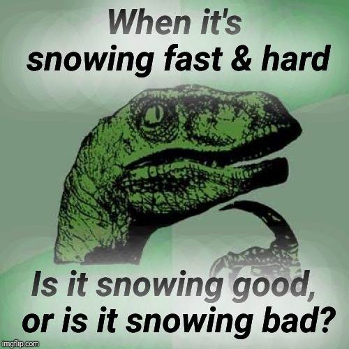 c5/5e4e1ec4c638.jpg