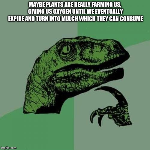 c5/e6c56db7fb73.jpg