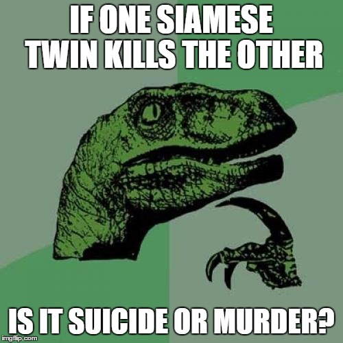 c8/b2cd5fcfed3b.jpg