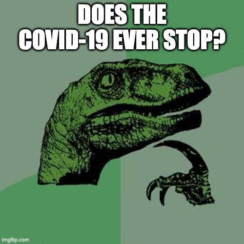 c8/b5cedaa8015a.jpg