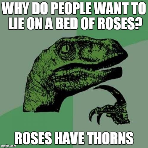 c9/3d19a5c2d4ba.jpg