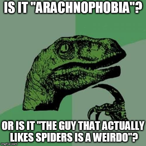 ca/8c10fb46427e.jpg