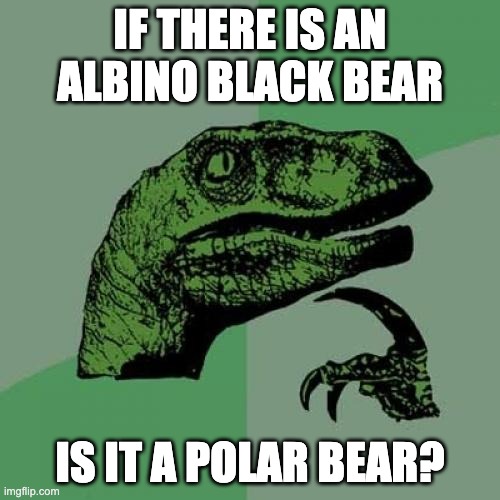ca/f2d7e9f05e34.jpg