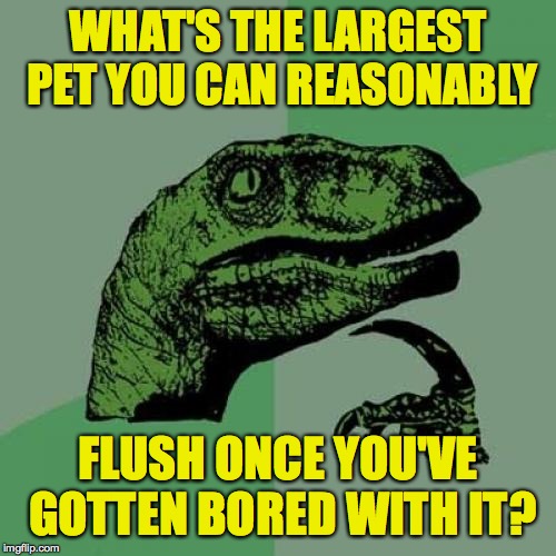 cc/851c1c84f537.jpg