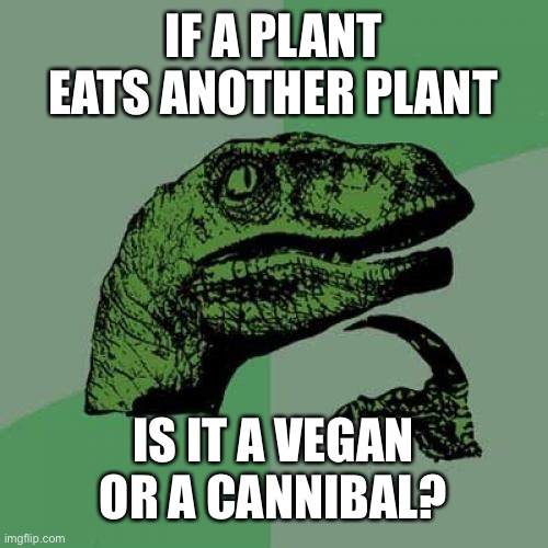 cc/f5fc4fbd3c49.jpg