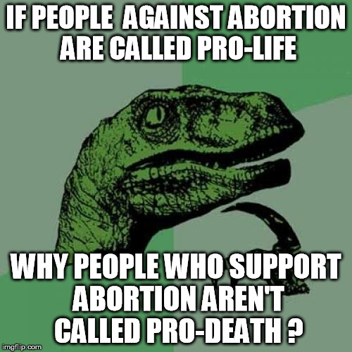 cd/f440c275a81b.jpg
