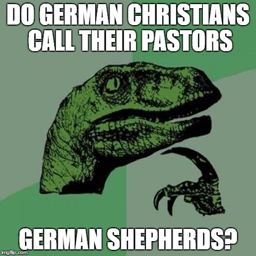 cd/fcaeab648485.jpg