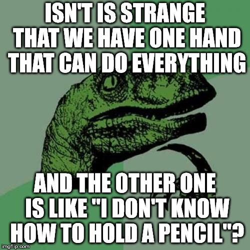 cf/05556722046c.jpg