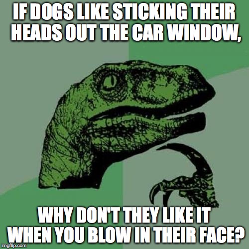 cf/6e299c2f64ac.jpg