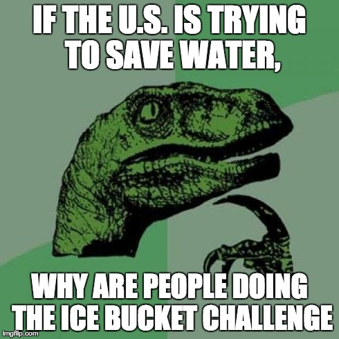 d0/c2c06bfb9d95.jpg