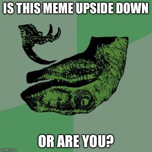 d3/7c0b58f7ed96.jpg