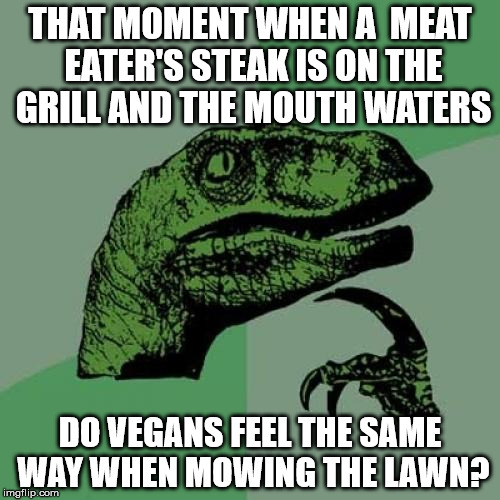d4/23e3e2d3d828.jpg