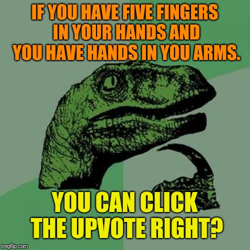 d5/408b4b622429.jpg