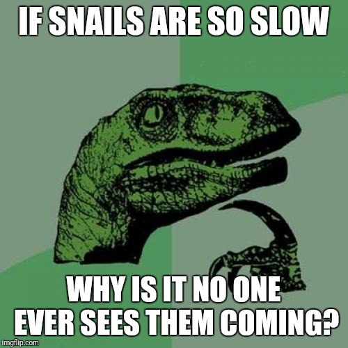 d5/6f6b4d44e8c6.jpg