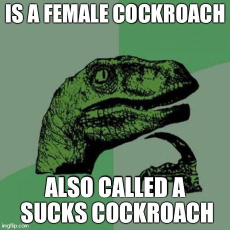 db/fb06c03d1c7c.jpg