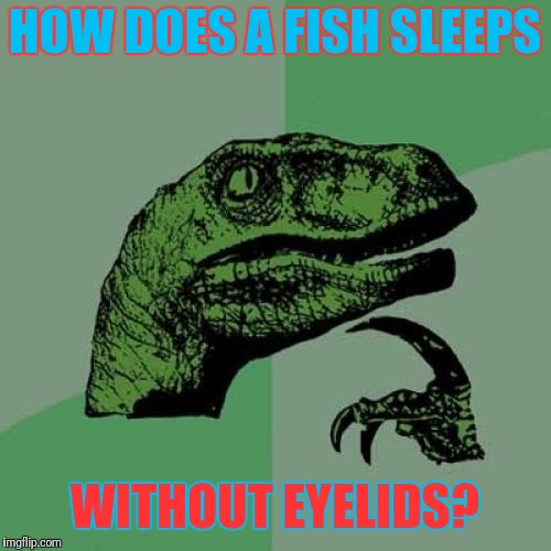 dc/cbab3d0de7f8.jpg