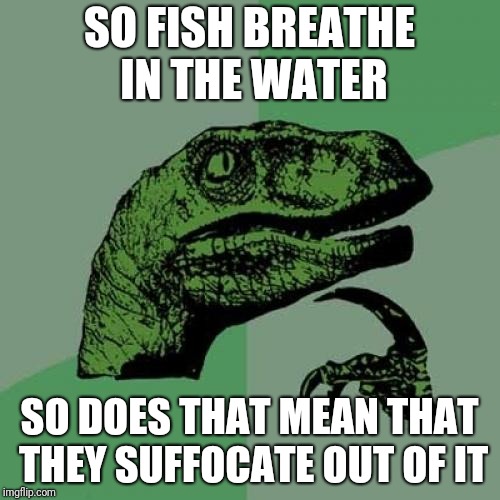 dd/b07b07eff77f.jpg