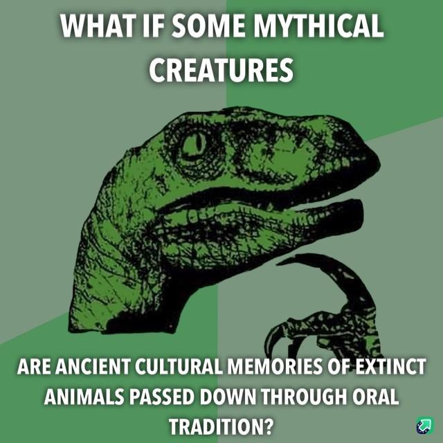 dd/b1616bd9d4d6.jpg