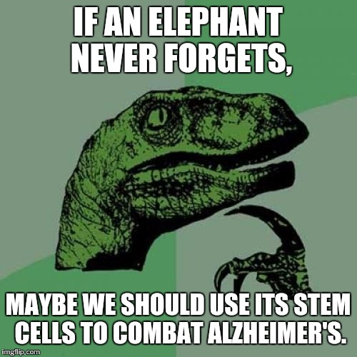 de/2c8a57c559f9.jpg