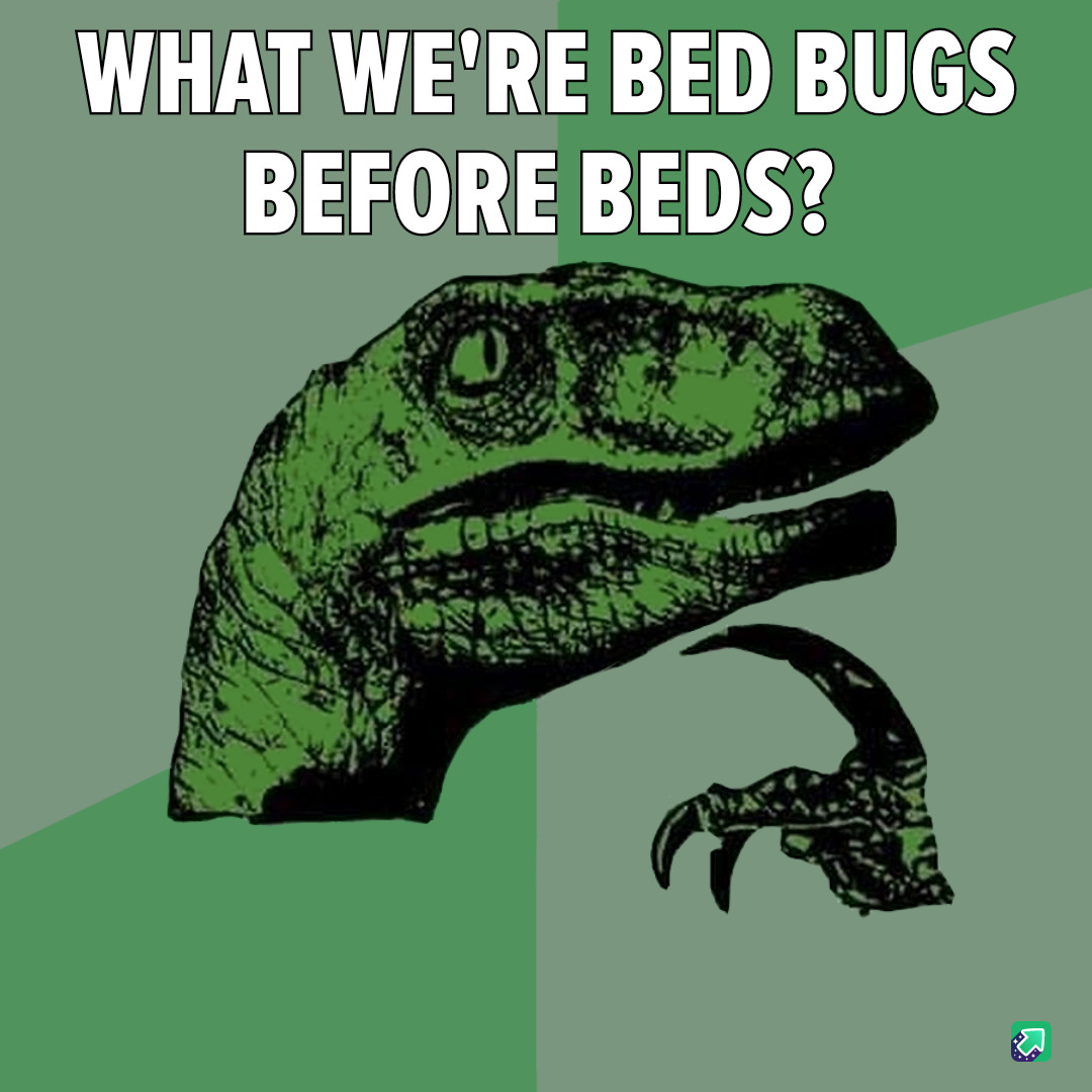 e0/2d4eb6a5365f.jpg
