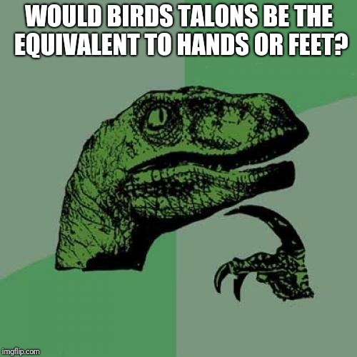e1/d28d245e0be0.jpg